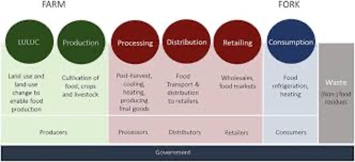 Farm to Fork supply chain diagram showing the journey from LULUC, Production, Processing, Distribution, Retailing to Consumption