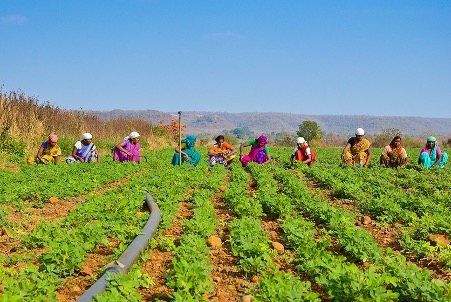 Farmers working in agricultural fields - Community at the source